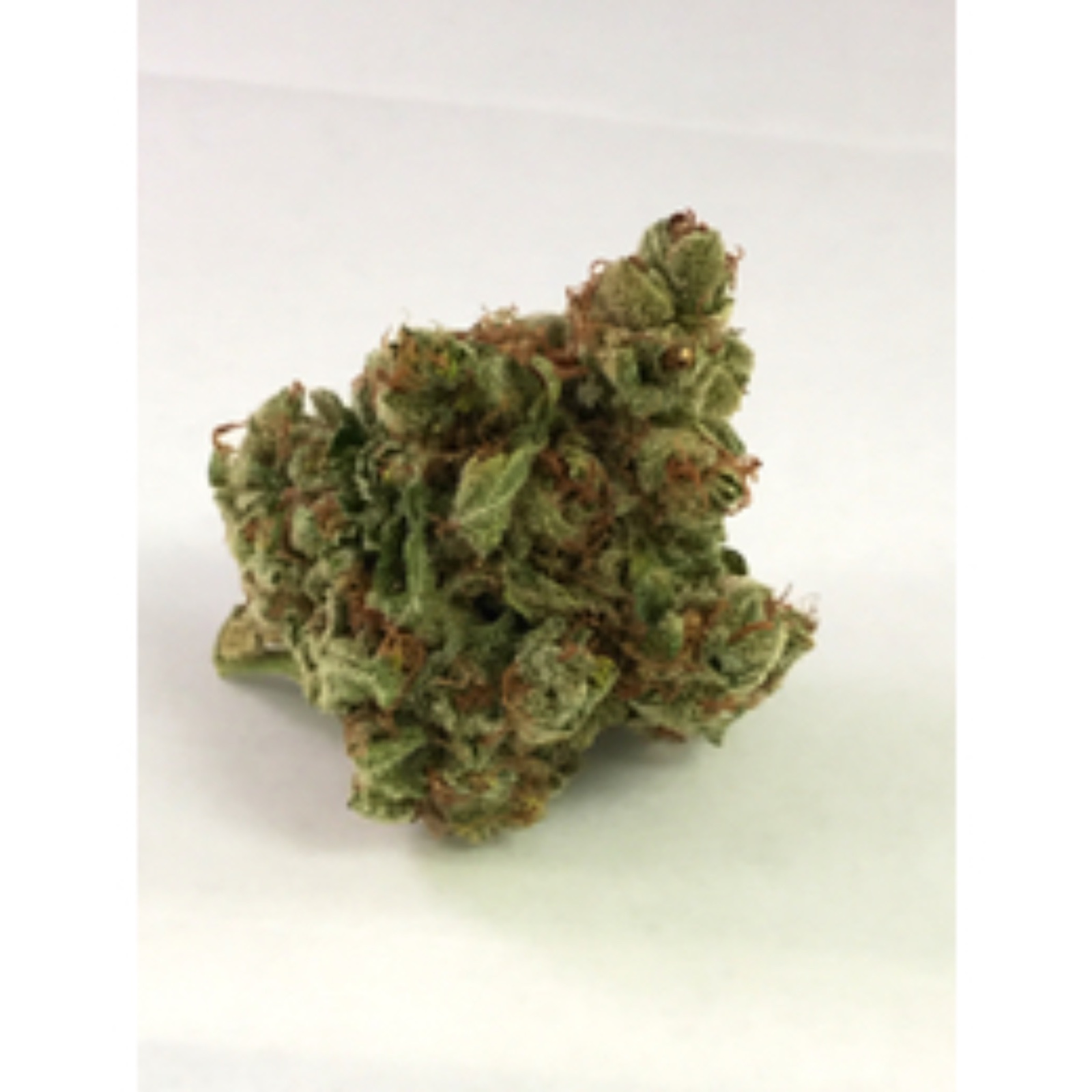 Taste Budz Oregon: Lemon Larry OG | Leafly